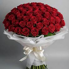 Букет 101 Красная роза Блэк Мэджик в Озёрный Смоленская область