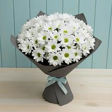Букет цветов из:  Хризантемы #REPLACE_PRED# Озёрный Смоленская область