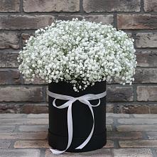 Цветочная композиция из Гипсофила в шляпной коробке в Озёрный Смоленская область